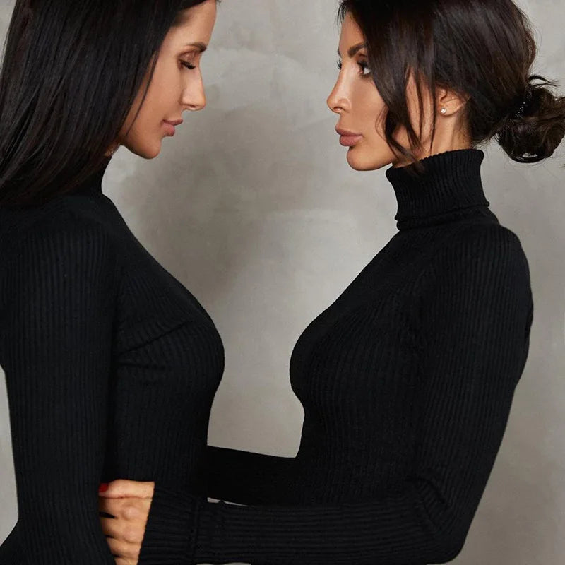 TURTLNECK BODYCON LONG DRESS